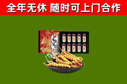 唐河县回收冬虫夏草价格